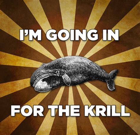 Going in for the Krill Check out more funny pics at killthehydra.com | Whale funny, Internet ...