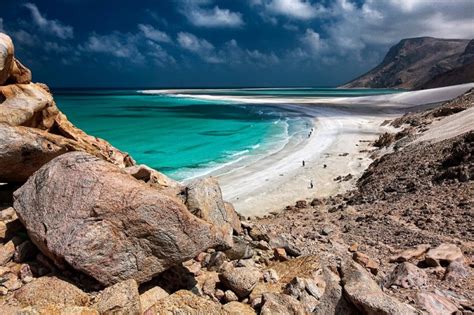 Nate's Nonsense: Socotra Island