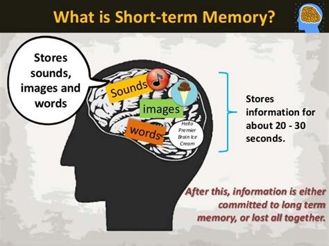 Short-term Memory Characteristics The 3