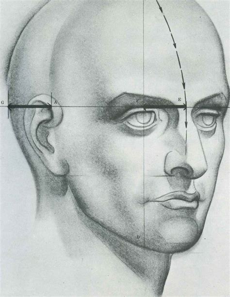 Draw Human Faces : How To Draw Human Face | Bodycowasung