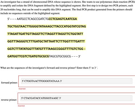 Solved An investigator has a strand of chromosomal DNA whose | Chegg.com