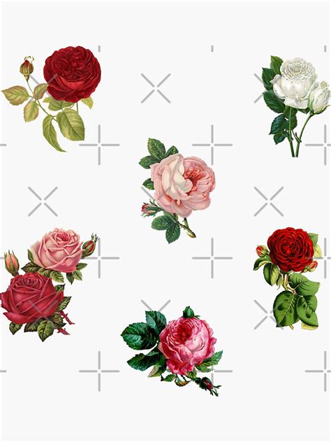 "Vintage Roses pack " Sticker for Sale by Ranp | Redbubble