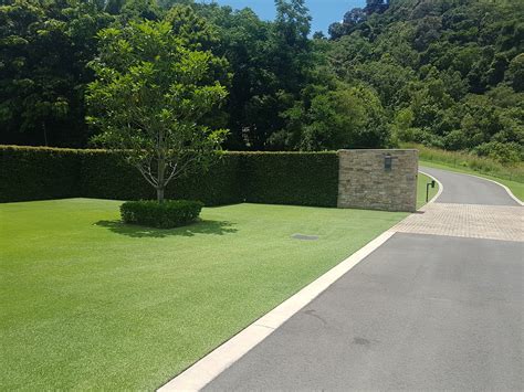 Residential Turf Maintenance — Dynamic Turf Management