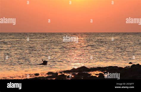 Sky diver silhouette Stock Videos & Footage - HD and 4K Video Clips - Alamy