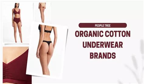 5 Best Organic Cotton Underwear Brands - Lingerie Fashion