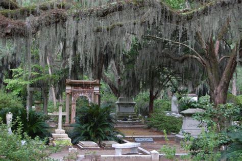 Bonaventure Cemetery: Savannah Attractions Review - 10Best Experts and ...