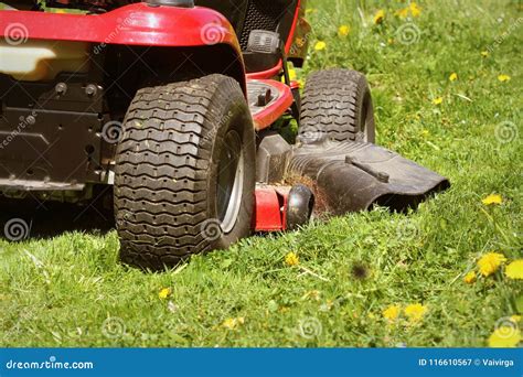 Cutting the Grass of on a Tractor Lawn Mower Stock Image - Image of lawn, grass: 116610567