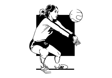 Volleyball Net Free Vector Art - (713 Free Downloads)