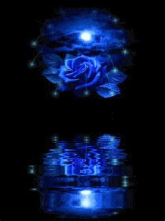 blue rose GIF - Download & Share on PHONEKY