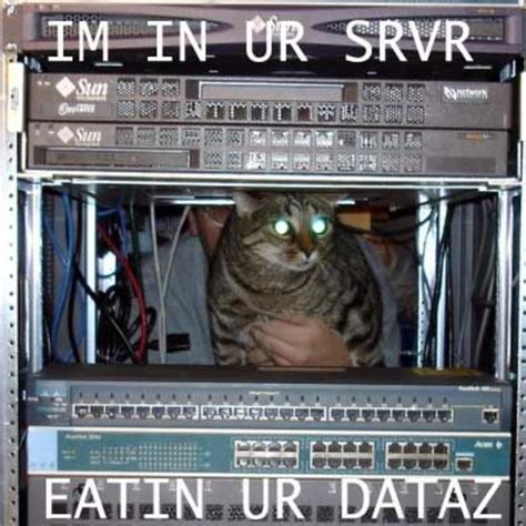 [Image - 14923] | LOLcats | Know Your Meme