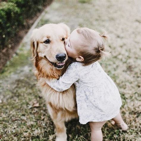 Картинки по запросу baby with golden retriever | Cute little puppies, Pets, Golden retriever