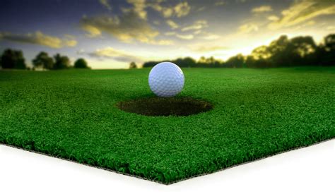 Backyard Putting Green For Your Home | SYNLawn