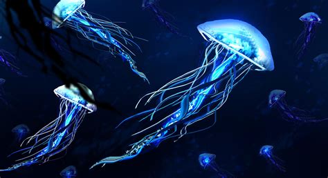 Jellyfish by TacoSauceNinja on DeviantArt