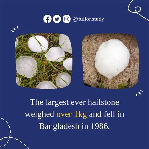 The Largest Hailstone! | Study materials, College advice, College hacks