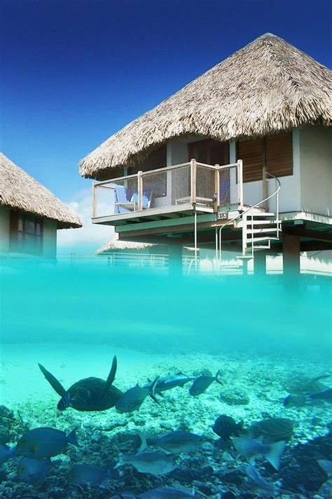 Le Meridien in Bora Bora Might Be The Most Beautiful Place On Earth