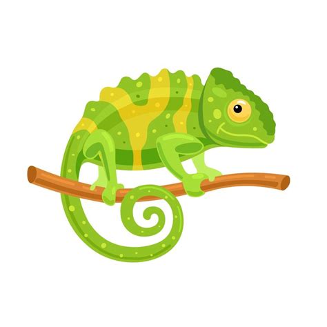 Chameleon on a branch. Funny character, African animal. Vector illustration 4836667 Vector Art ...