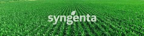 Syngenta Crop Protection Limited - Jobs, Reviews, Photos | WorkVenture