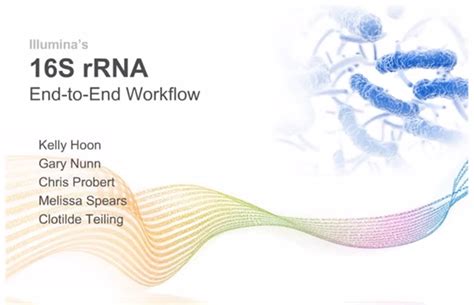 16S rRNA Sequencing | Identify strains that may not be found using other methods