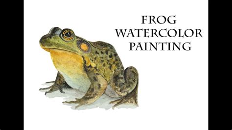 how to Watercolor Frog Painting for beginners - Yeni Başlayanlara Kolay ...