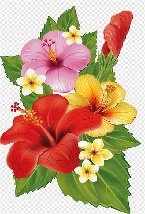 hibiscus flowers illustration, Flower bouquet Decorative arts, tropical ...