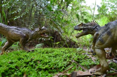 Carnotaurus VS Allosaurus by X-Alex | Jurassic park poster, Jurassic park toys, Prehistoric world