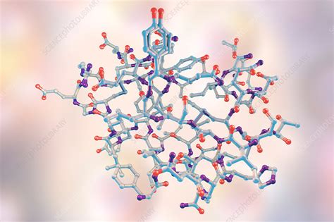 Insulin molecule, illustration - Stock Image - F017/7616 - Science Photo Library