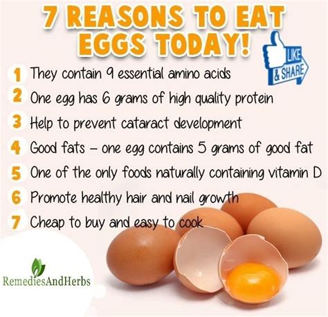 Benefits Of Eggs | Health benefits of eggs, Egg benefits, Fruit health benefits