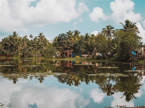 Ultimate Alleppey Backwaters Of Kerala Guide - Boats, Toddy, Temples ...