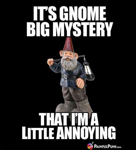 Pin on Gnomes: Funny Gnome Humor