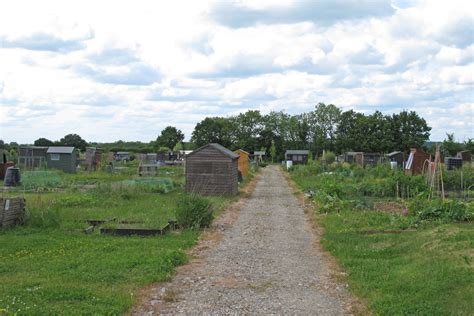 Allotments near Earls Colne Airfield © Roger Jones cc-by-sa/2.0 ...