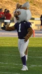 Waldo Wildcat, Weber State Wildcats mascot. | College Mascots: Big Sky | Pinterest | US states