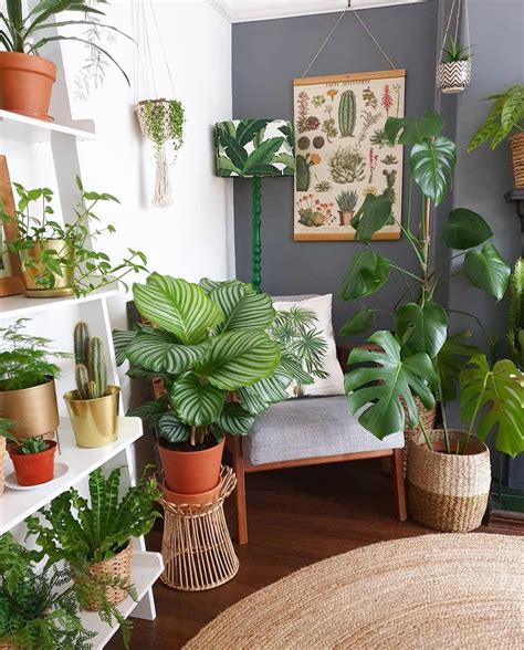 🍃 We feature the best of #indoorplantsdecor 😍 ! Follow us for ...