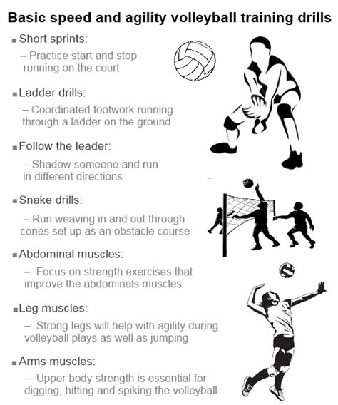 The Infoprovider: Fitness volleyball, Drills and Exercises to Improve Fitness.