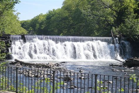 Parks and the Bronx River Alliance celebrate river revitalization at the annual Bronx River ...