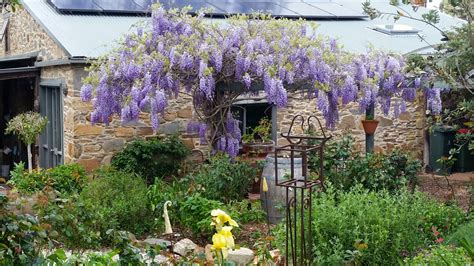 An Aussie cottage garden