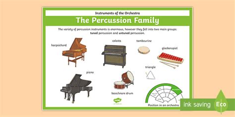 Orchestra Instruments Percussion Family Poster