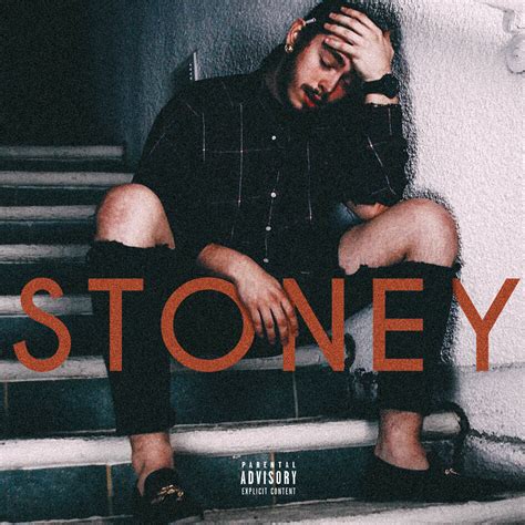 Post Malone - Stoney [1500x1500] : r/freshalbumart