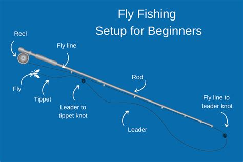 How to Go Fly Fishing: The Complete Guide