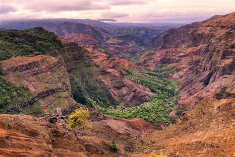 Landscape View of Waimea Canyon at Sunrise, Kauai, Hawaii Stock Image ...