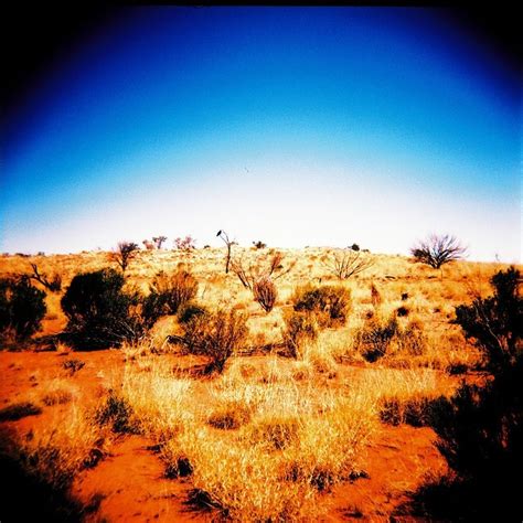 The desert | Australia, Lomography, Photo