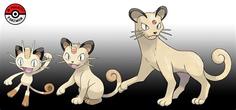 Meowth Evolve