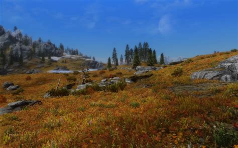 Skyrim Flora Overhaul at Skyrim Nexus - Mods and Community