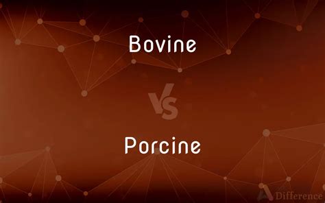 Bovine vs. Porcine — What’s the Difference?