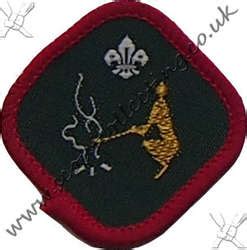 Survival Skills Scout Badge post 1991 to 2001 | Collecting Badges