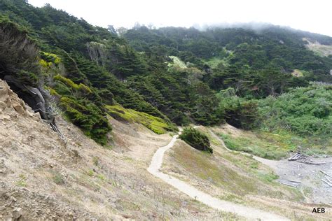 Hiking from Land's End Lookout to China Beach. | State park camping, Road trip usa, China beach