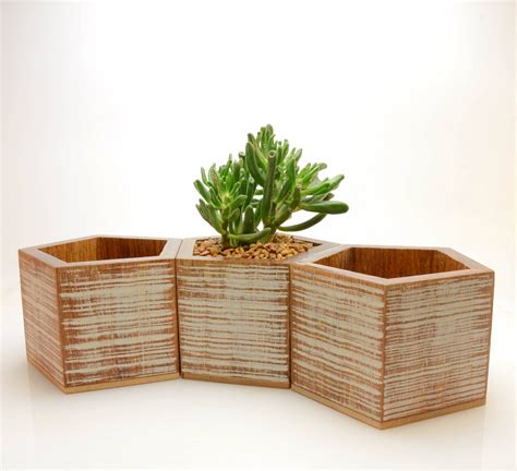 Bamboo Plants Pots