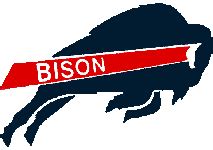 Howard Bison | William H. Greene Stadium - Football Championship ...