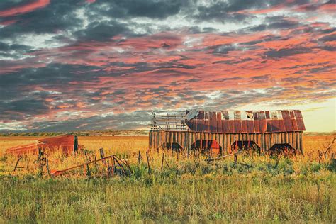 Barnstorm Revisited Photograph by Terry Walsh - Fine Art America