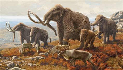 The woolly mammoth (Mammuthus primigenius) is an prehistoric species that lived during the ...