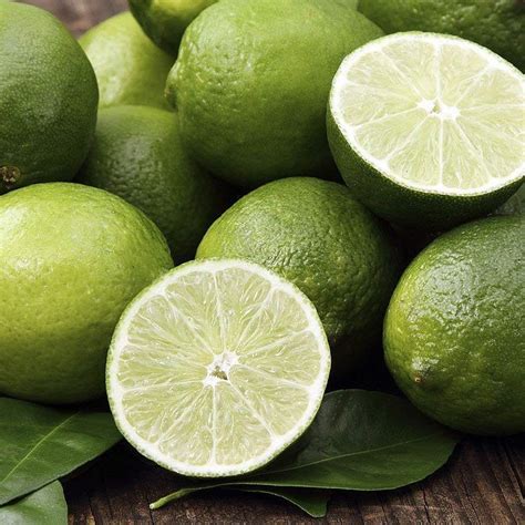 Kaffir Lime Seeds, Citrus Plant, 20pcs/pack – GreenSeedGarden